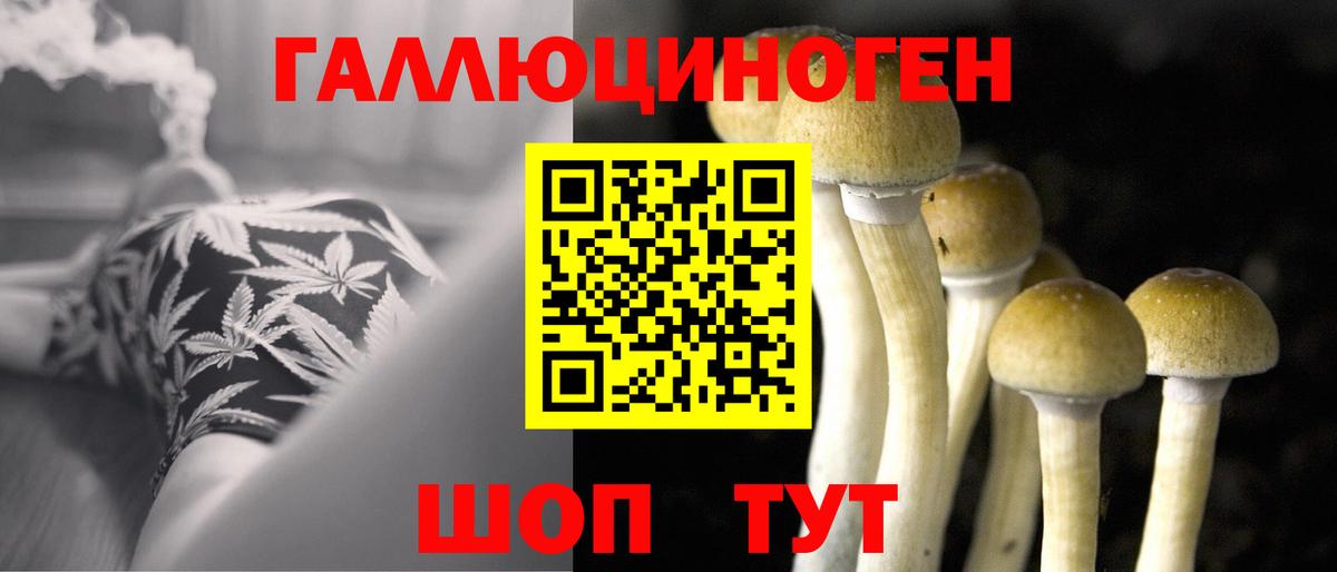 Псилоцибиновые грибы прущие грибы  Вход с VPN  Борзя 